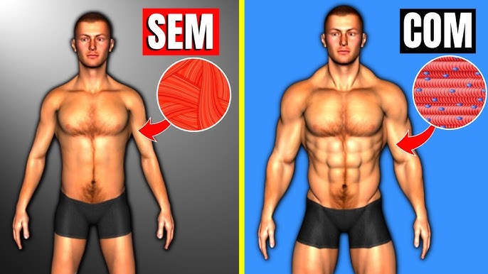 Como tomar creatina corretamente?