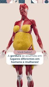 Como queimar gordura abdominal mais rápido? 5 TRUQUES